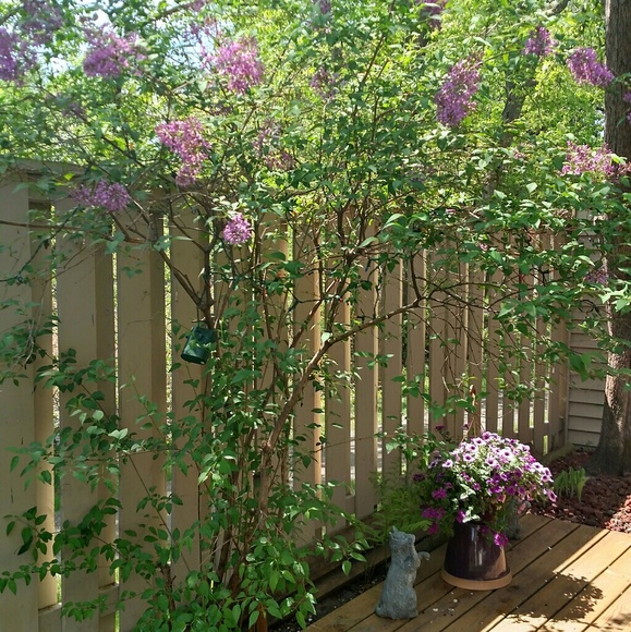 Hi, I'm Jennifer! Poshmark Ambassador ll - Picture 4 of 8